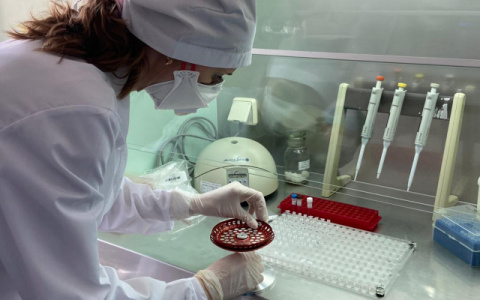 Ажиотаж в нижегородских медцентрах. Сколько времени занимает тест на антитела?