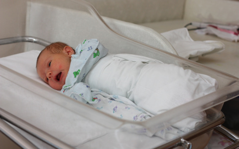 Вишня, Май, Симба: 30 необычных имён, которые дали детям нижегородцы в 2021 году