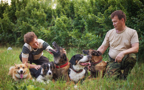 Нижегородский корги-полицейский растрогал Сеть, показав свою семью