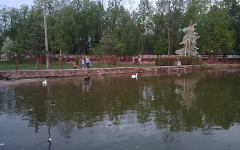 8 пляжей Нижнего Новгорода, где разрешает купаться Роспотребнадзор