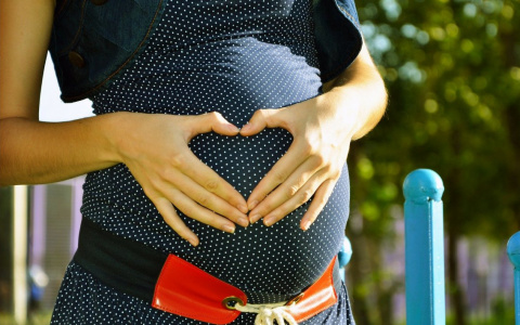 Названы условия и сроки выплат беременным нижегородкам