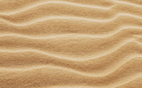 Нижегородцы крали песок из Волги