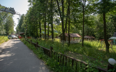 Глеб Никитин: «Швейцария» должна стать одним из ключевых центров городской жизни»