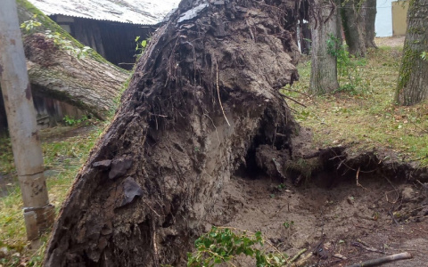 Последствия нижегородского урагана в 11 кадрах