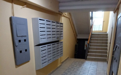 Более 50 подъездов в домах отремонтировал ДУК Советского района