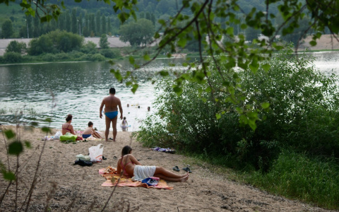 Россиян предупредили о наступлении 43-градусной жары