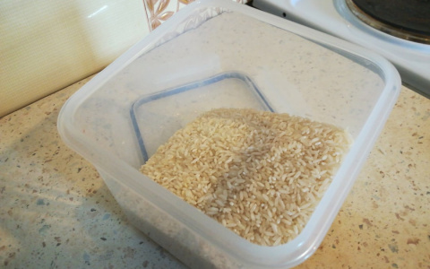 Рис с опасными насекомыми продавали в магазинах Нижнего Новгорода