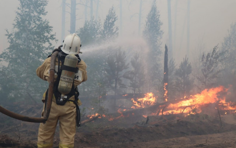 «С ночи запах гари»: последствия пожара в Мордовском заповеднике в Нижегородской области