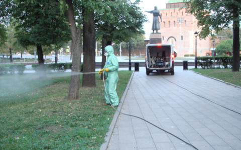 Центр Нижнего Новгорода обработали от клещей