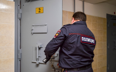 Саровчанин заработал больше 3 млн рублей, продавая несуществующие гаражи