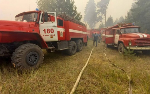Два гектара леса горят под Первомайском