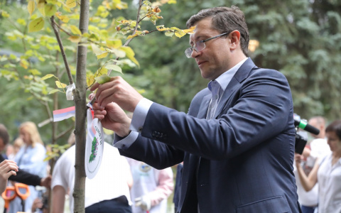 Глеб Никитин: «Парк «Швейцария» стал одной из площадок Всероссийской акции «Сохраним лес»