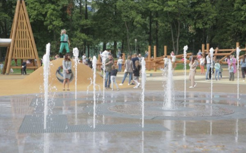 Обновленный парк “Швейцария” погряз в мусоре сразу после открытия