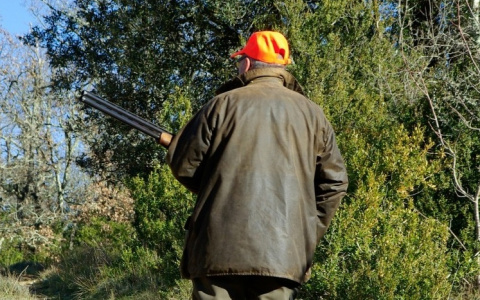 Ссора двух старых охотников закончилась тем, что одного увезли с простреленной ногой