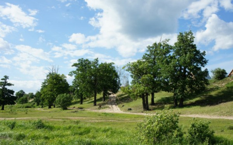 Изувеченное ранами тело пастуха нашли в Воскресенском районе