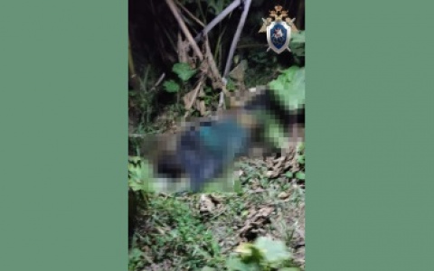 Житель Воротынского района убил свою 24-летнюю возлюбленную бутылкой по голове