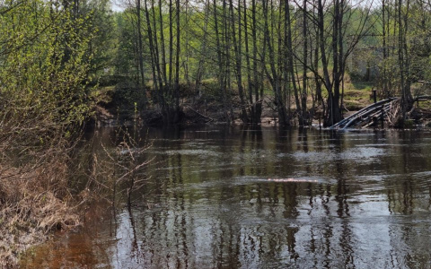 Пенсионер утонул в пруду в Дивеевском районе