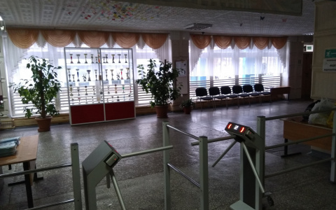 Десятки детей отравились в 13 гимназии Нижнего Новгорода