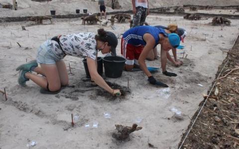 Следы древних поселений обнаружили на стройке трассы в Нижегородской области