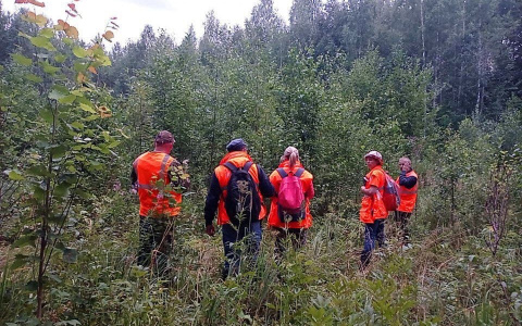 Заблудившихся в лесу женщин нашли в Нижегородской области