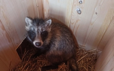 В нижегородских колониях создают мини-зоопарки для позитивного настроя заключенных