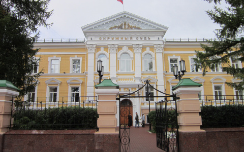 Молодой человек просрочил оплату штрафа за ремень и угодил за решетку в Нижегородской области