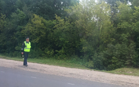 Водитель, сбивший в Нижегородской области людей на остановке, имел стаж 6 месяцев