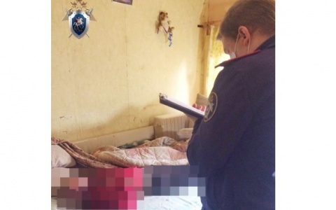Мужчину подозревают в убийстве сожительницы топором в Нижегородской области