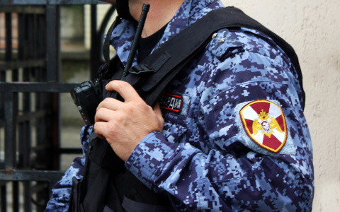 Администрацию Богородска срочно эвакуировали из-за найденных гранат