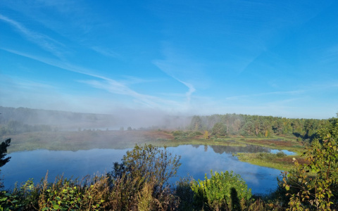 В Нижегородской области массово стали пропадать грибники