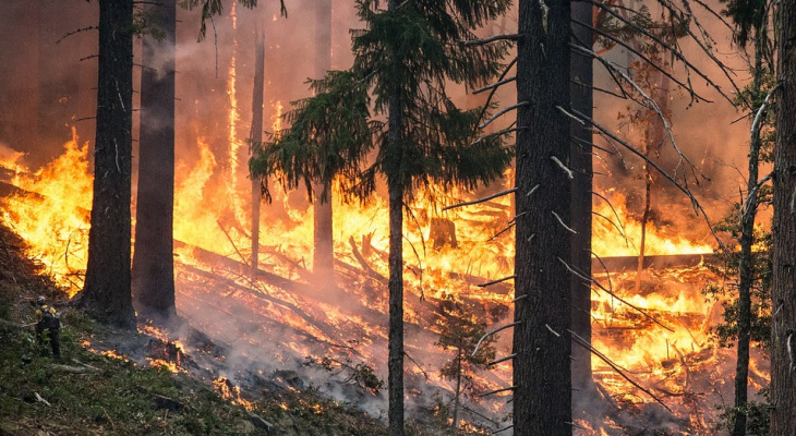 МЧС предупреждает об угрозе лесных пожаров в Нижегородской области