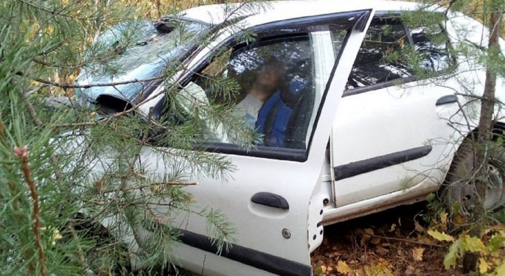 Пьяный водитель вылетел в кювет и врезался в дерево в Выксе