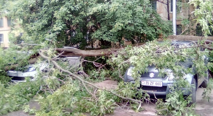 Ураган в Нижнем Новгороде 28 июня