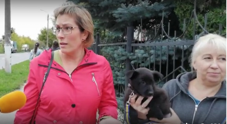Тушенку можно делать и с картошкой пожарить: нижегородка покупает щенков, чтобы вылечить мужа от туберкулеза