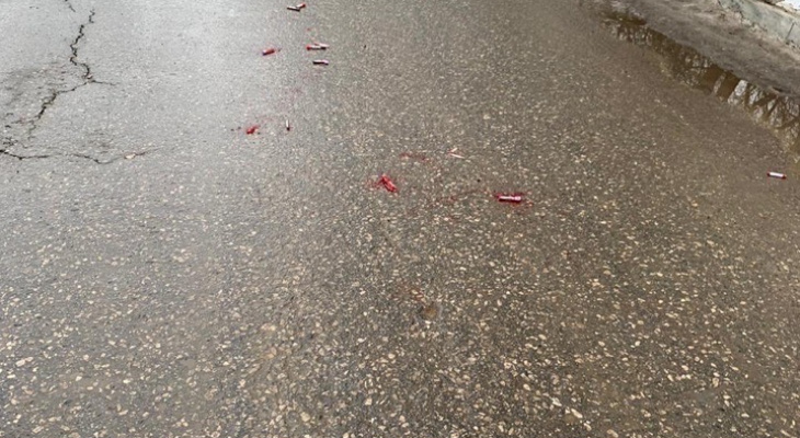 Пробирки с кровью выпали из мусоровоза на дорогу около больницы в Выксе