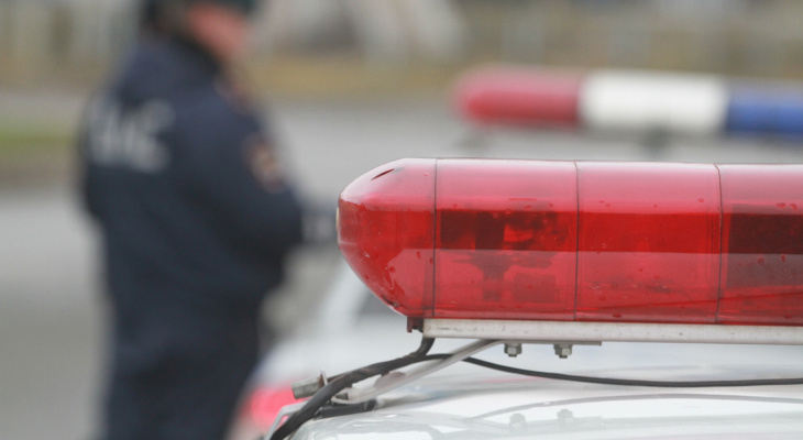 Молоковоз и иномарка столкнулись в Городецком районе: пострадали двое взрослых и ребенок