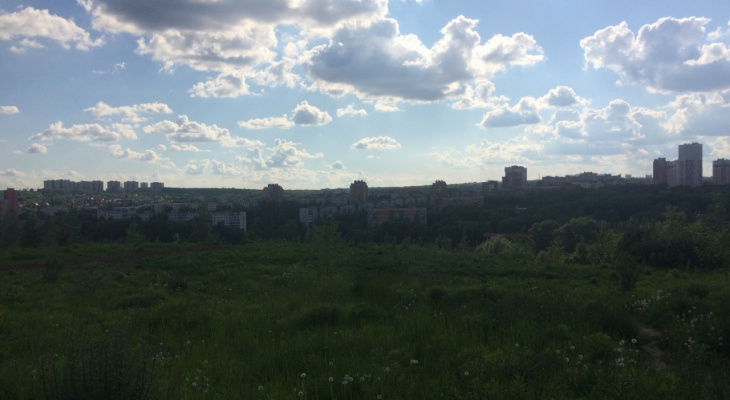 Жителей Нижегородской области ожидает жаркая неделя с грозами