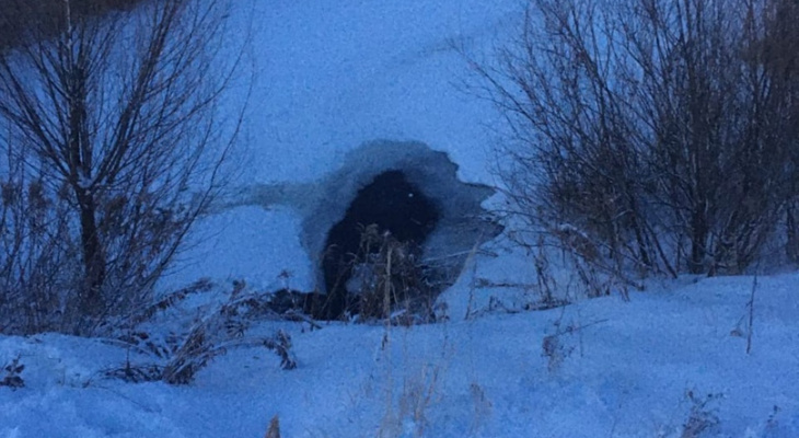 Трое мальчиков провалились под лед в Кстовском районе 2 февраля: один погиб