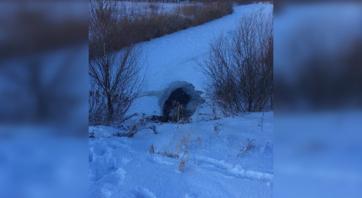 Появились подробности провала троих детей под лед на пруду в Кстовском районе