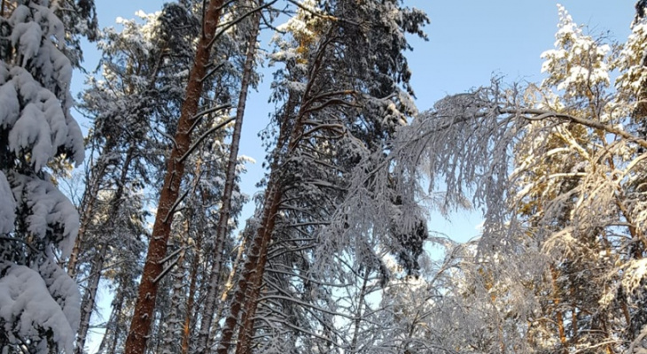 МЧС предупреждает об аномальных морозах по всей Нижегородской области