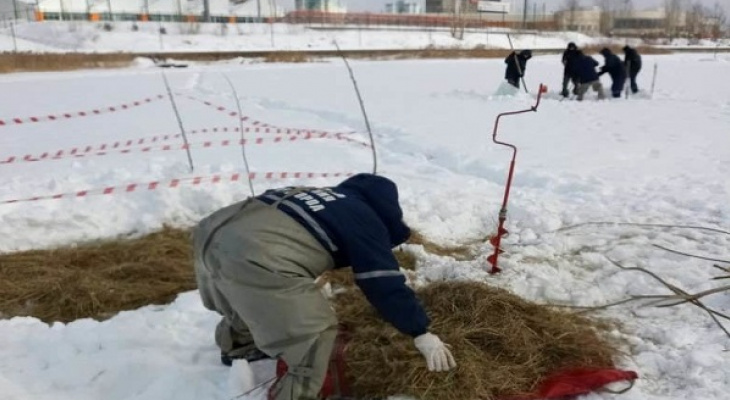 В Нижнем Новгороде зафиксирована массовая гибель рыбы