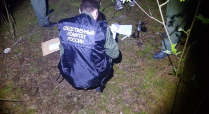 Тело 12-летней школьницы нашли в лесополосе в Нижегородской области