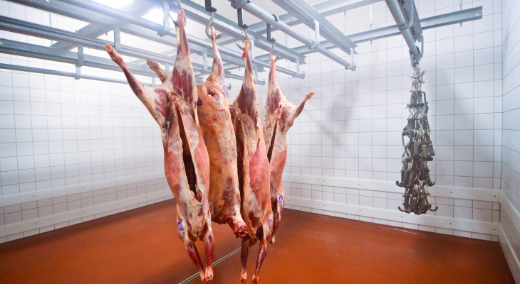 Мясо накаченное антибиотиками обнаружили в магазинах Нижнего Новгорода