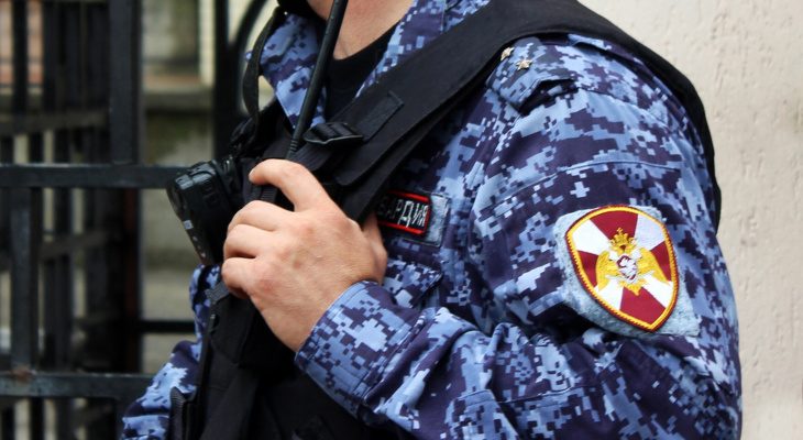 Администрацию Богородска срочно эвакуировали из-за найденных гранат