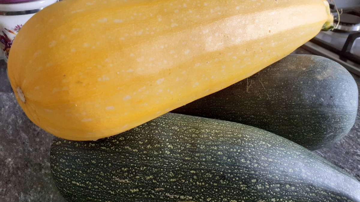 Язык проглотите: вкуснейшая кабачковая икра всего за 10 минут