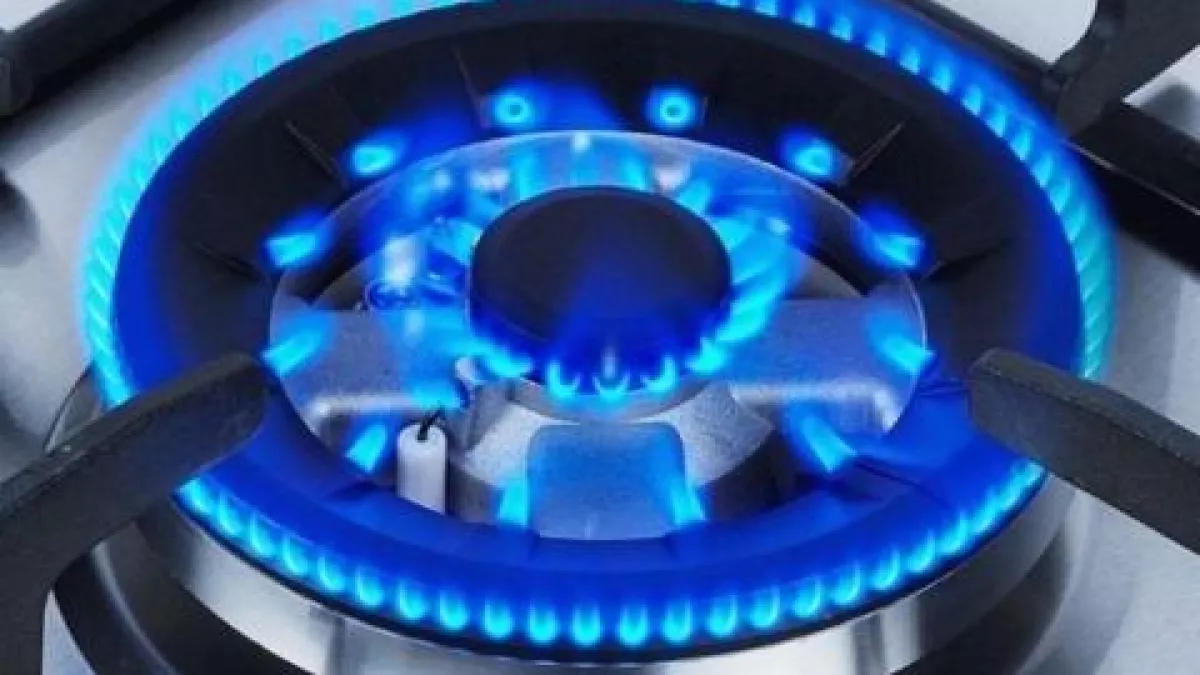 С марта нижегородцам грозят штрафы за замену газовых плит без лицензии