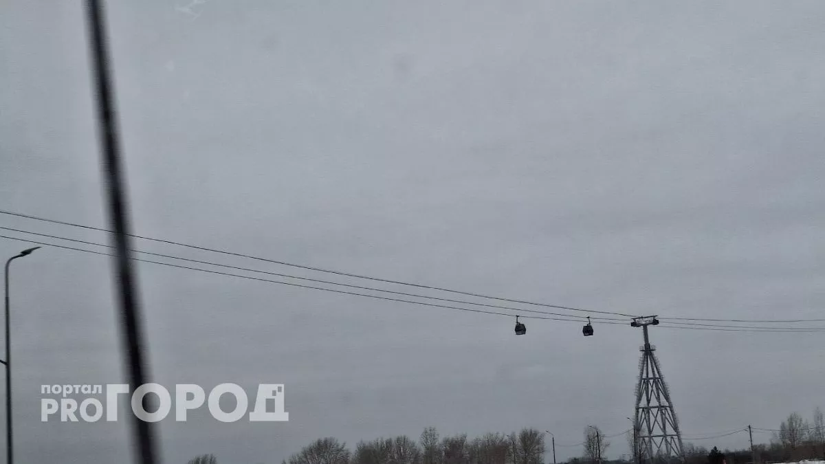 Рецензия на курсовую, сувениры и одежда: что пассажиры чаще всего оставляют в кабинках нижегородской канатной дороги