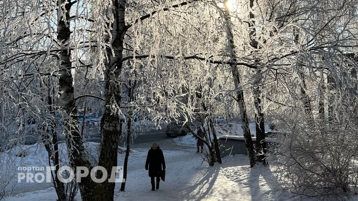 Морозы до -20 градусов придут в Нижний Новгород в праздничные выходные к 8 марта