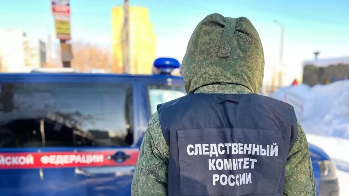 Мужчина попал под поезд в Нижегородской области