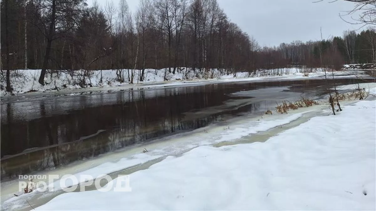Мосты и реки Нижегородской области берут под особый контроль до конца весеннего паводка